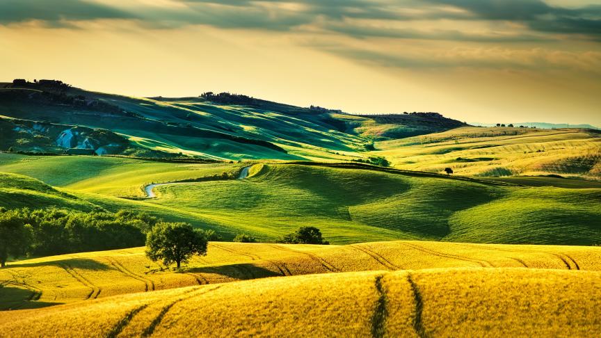 AdobeStock_84758664