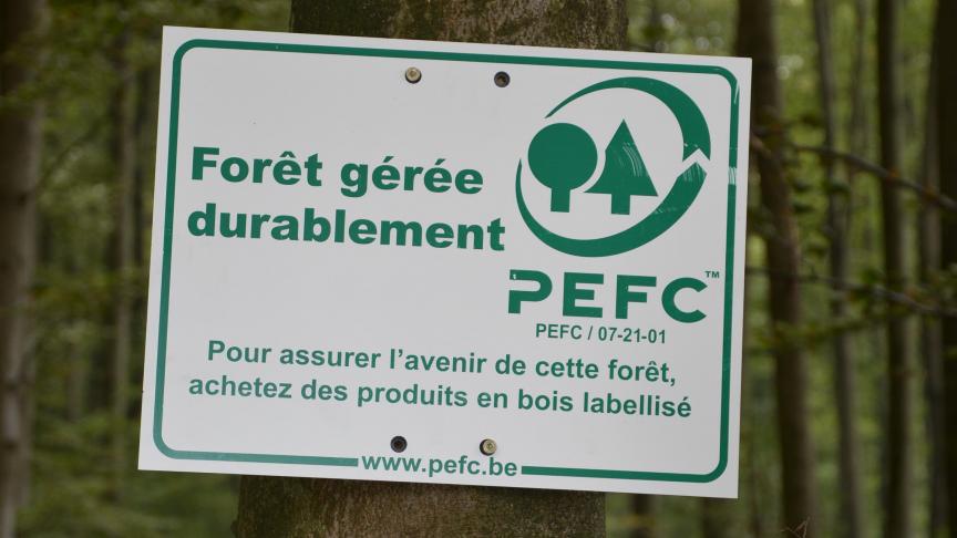 En Wallonie, 300.000
ha, soit 54
% de la surface forestière, sont certifiés PEFC.