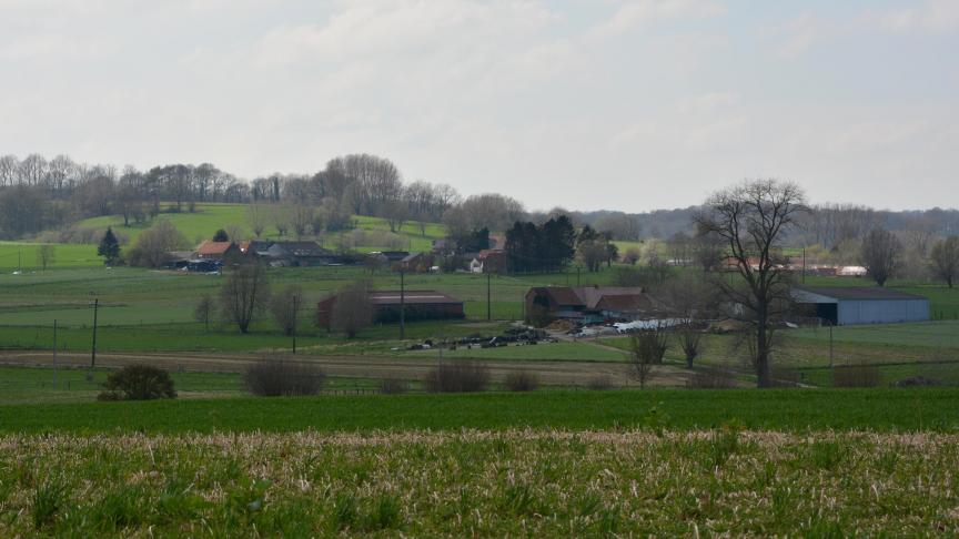 En Wallonie, le prix moyen d’un hectare de terre agricole lors des 6 premiers mois de 2019 était de 32.216 €, avec de grandes disparités provinciales puisque le prix moyen varie  de 24.744 €/ha en province de Luxembourg à 40.968 €/ha en Brabant wallon