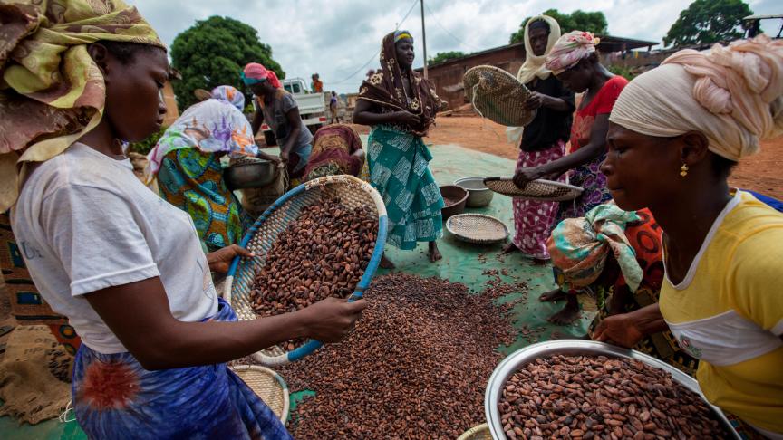 L’association entre Fairebel et Fairtrade permettra notamment de soutenir  des femmes productrices de cacao en Côte d’Ivoire.