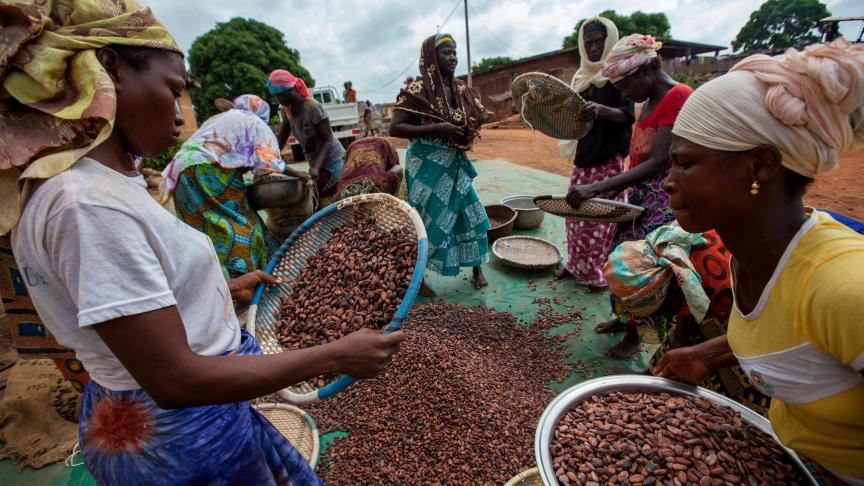 L’association entre Fairebel et Fairtrade permettra notamment de soutenir des femmes productrices de cacao en Côte d’Ivoire.