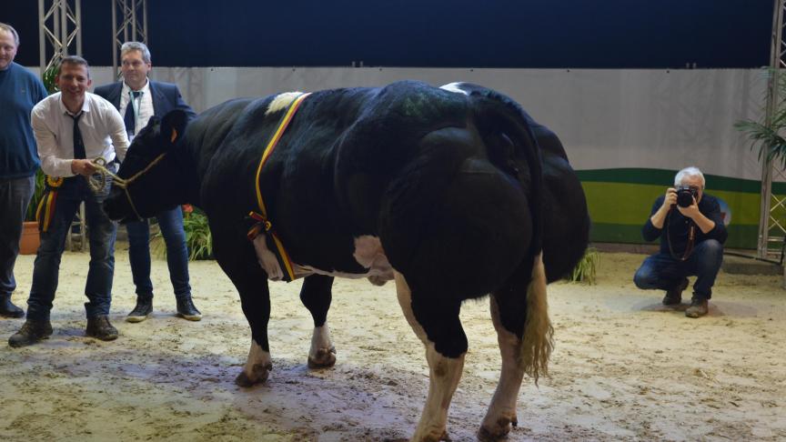 Karaat van Terbeck, championne des vaches, à Roggen-Schotsmans & Vranckx Paul, Kersbeek-Miskom.