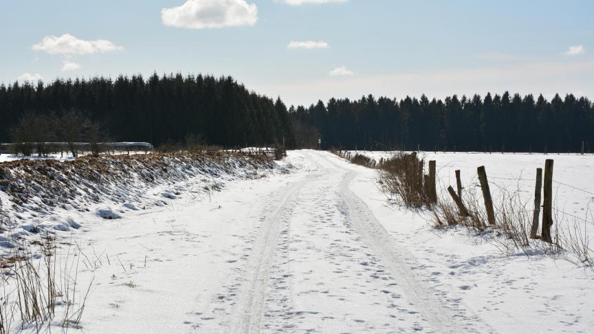 La Croatie devra notamment finaliser l’adoption rapide du règlement  sur les règles transitoires de la Pac, afin d’éviter d’éventuelles interruptions  de paiements aux agriculteurs. Un chemin qui s’annonce encore long...