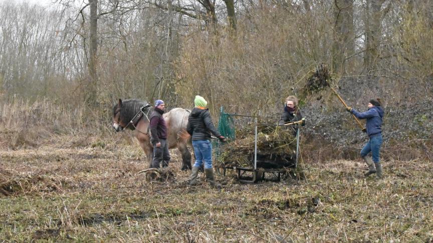 Chargement des tas de ronces par les bénévoles.