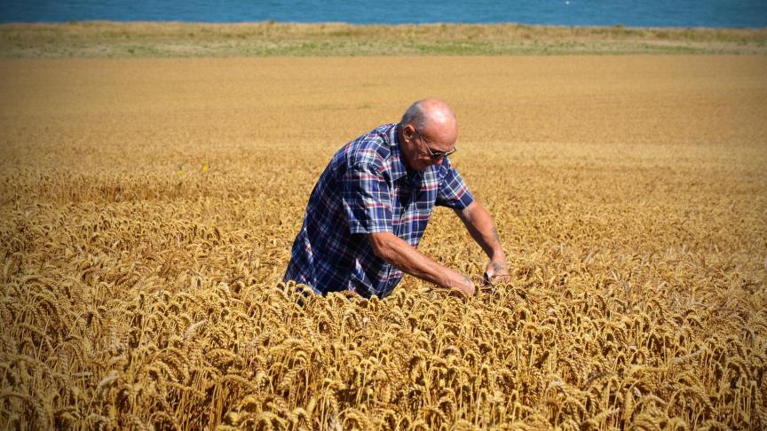 Un récent sondage révèle indiquant que plus de 90% des Français souhaitent que le gouvernement garantisse l’autonomie agricole de l’Hexagone après la crise du Covid-19... Cette indépendance agricole devrait en outre rimer avec écologie.
