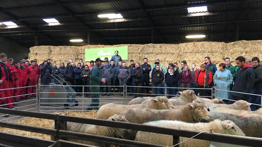Une septantaine d’étudiants ont participé à la journée de formation au Centre de Recherche Ovine (UNamur).