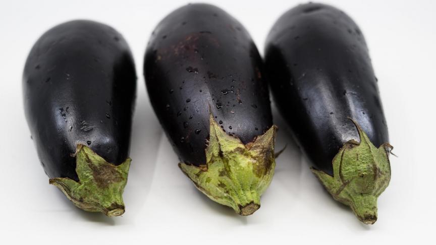 eggplant-3821293_1920
