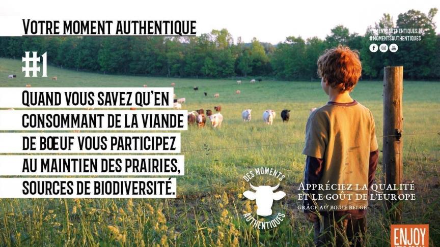 Premier visuel du décalogue de la campagne «Des moments authentiques».