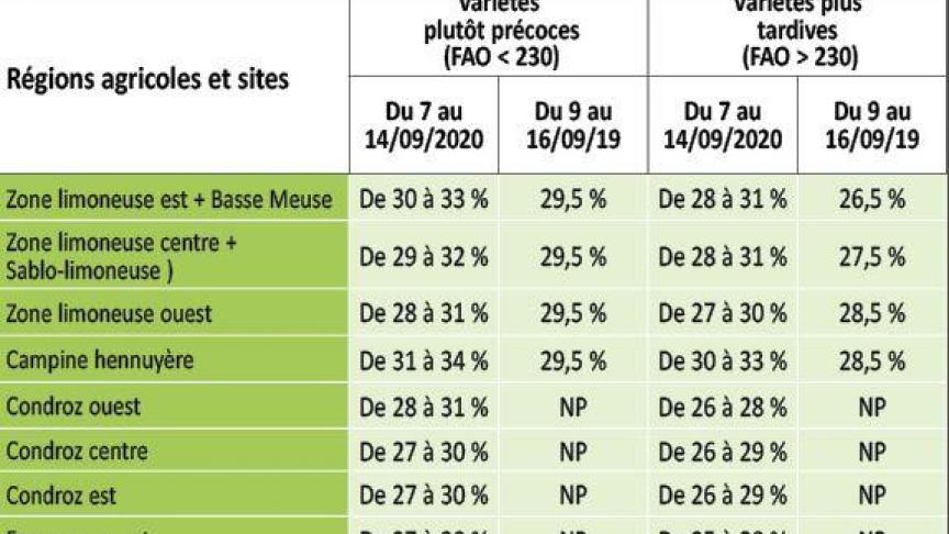 MAIS ENSILAGE