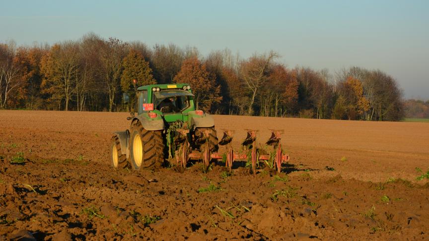 Pour le think tank Farm Europe, la Commission européenne doit publier une étude d’impact « complète et indépendante  de toute pression politique » de ses propositions dans le cadre du Green Deal pour évaluer les conséquences concrètes  pour l’agriculture des réductions proposées (produits phytosanitaires, engrais…).