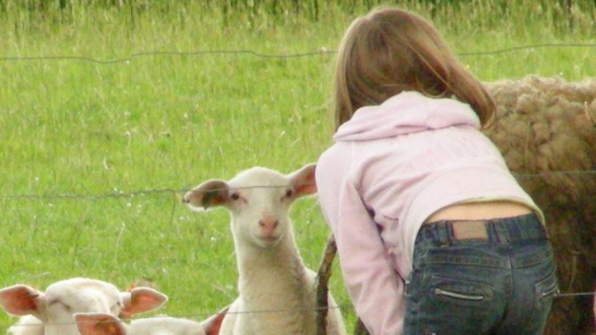 Les 26 et 27 juin prochains aura lieu la 24e édition des «Journées Fermes Ouvertes» en Wallonie organisée par l’Agence Wallonne pour la Promotion d’une Agriculture de Qualité.