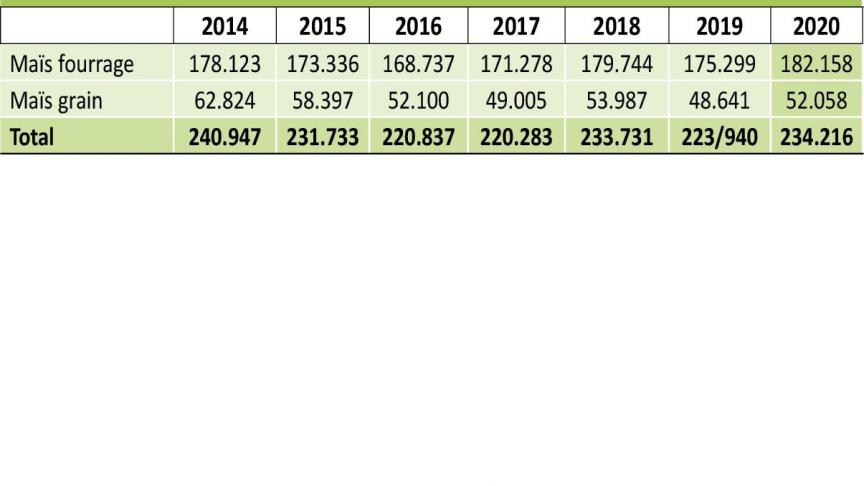 3946-MAIS-BILAN 1