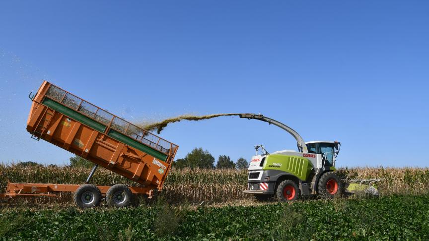 L’emballement des teneurs en matière sèche en septembre a bousculé la cadence des ensilages, de sorte que nombre de récoltes ont été entreprises trop tardivement (au-delà de 40% de MS).