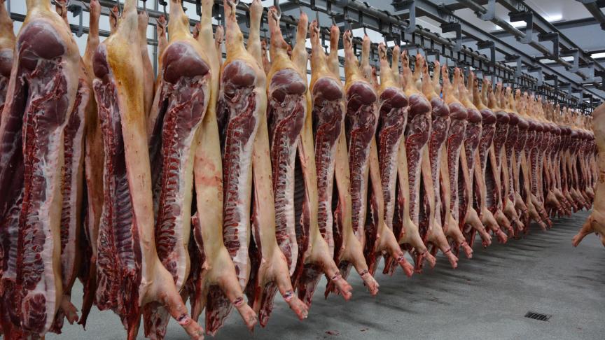 Entre janvier et octobre 2020, plus de 200.000 porcs supplémentaires ont été abattus par rapport à la même période en 2019.  Conjugué à un accroissement du poids moyen à l’abattage, cela représente une surproduction de 32.500 t de viande.