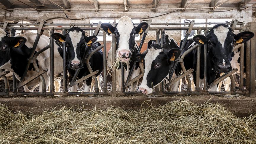 La production laitière poursuit sa tendance haussière  dans les principaux bassins exportateurs.