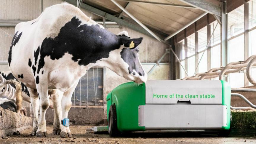 Le robot à lisier peut collecter et transporter du lisier de vache sous plusieurs formes.