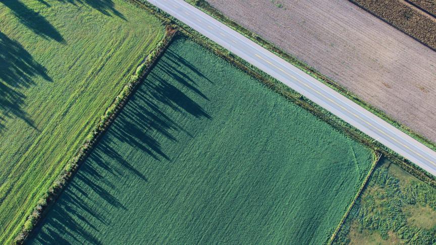 Pour la Pologne, si la tendance à la hausse des prix des engrais n’est pas stoppée à temps, « il deviendra alors extrêmement difficile, voire impossible, de répondre aux attentes du Pacte Vert ».