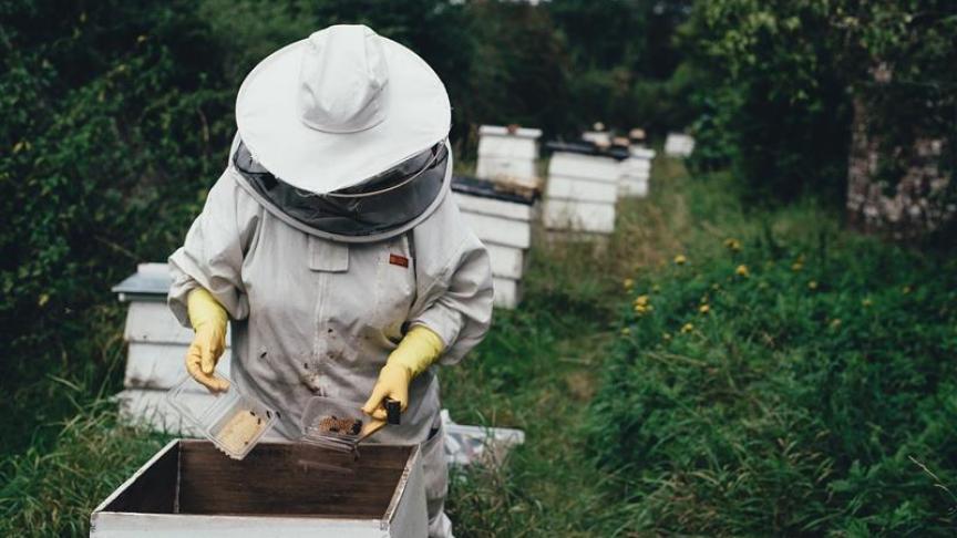Les prix qui ne permettent pas aux  apiculteurs de vivre de leur travail.