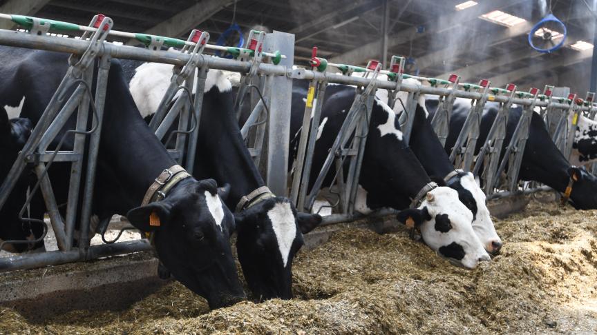 La croissance de la production laitière s’est effondrée dans l’ensemble  des grands bassins laitiers au troisième trimestre.