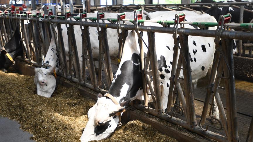 La cotisation des producteurs laitiers est en baisse en raison de la diminution du nombre de cas de botulisme grave.