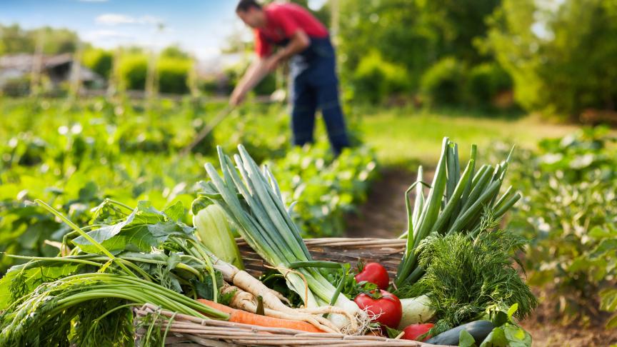 Pour l’écologiste Claude Gruffat, «l’objectif de 25 % des surfaces en agriculture biologique devrait être inscrit dans la position finale du parlement afin de donner un cap à tous».