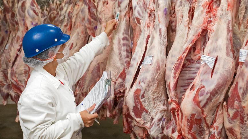 Les exportateurs brésiliens protestent contre le fait que les douanes britanniques examinent à la loupe  tous les lots de viande qui arrivent dans le pays.