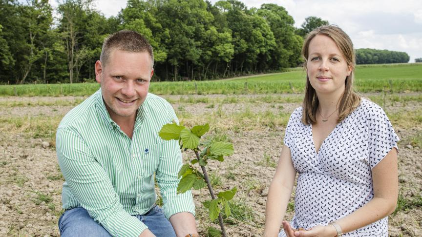 L’idée initiale de Benoît et de Mélanie Genin était d’offrir un parcours agrémenté  aux poulets bio en engraissement en plantant des noisetiers, mais très vite  ils se sont pris de passion pour la culture de la noisette.