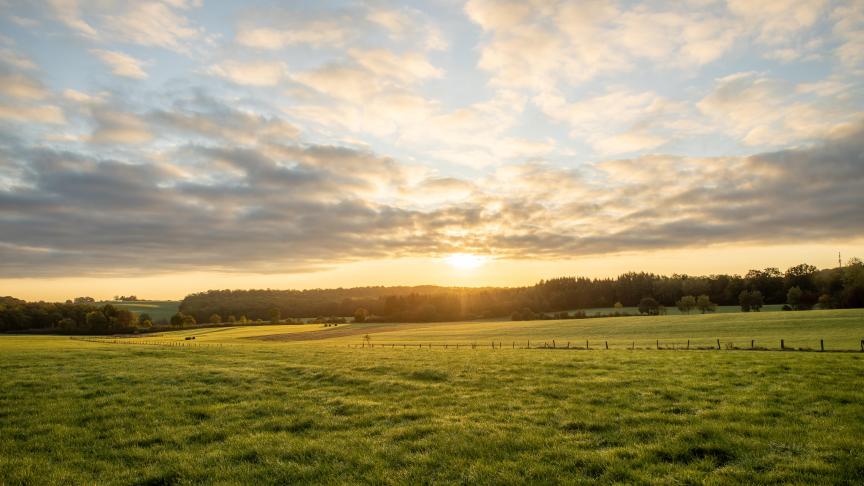 Il y a seulement droit de préemption «en cas de vente d’un bien rural loué». Une donation n’est pas une vente, car il s’agit d’une cession de propriété à titre gratuit.