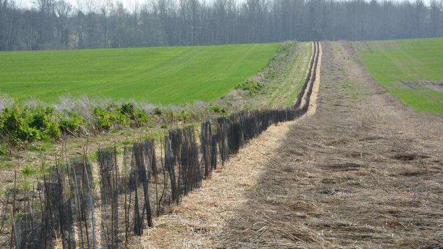 En vue de soutenir la transition agroécologique en Wallonie, huit actions et quatre objectifs ont été fixés, pour une période de quatre ans.