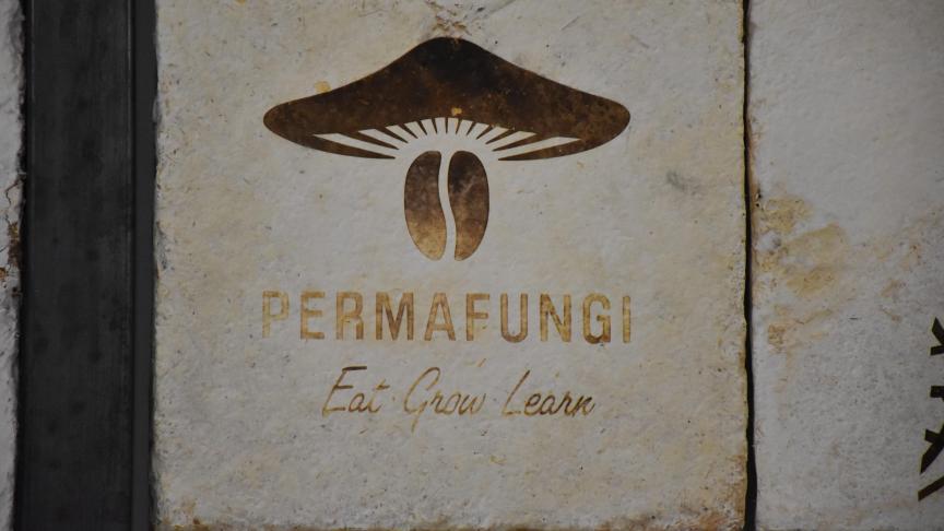 Faire pousser des champignons sur du marc de café paraissait donc à la base une idée « saugrenue », PermaFungi l’a fait.