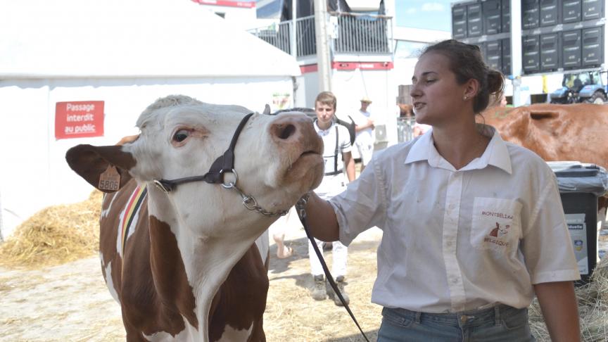 Les laitières, et notamment la montbéliarde, ne seront pas en reste sur la Foire. Leur show Junior sera une grande première pour le Herd-Book.