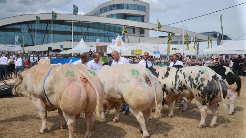 Les concours sont des rendez-vous hautement attendus par les professionnels et des moments particulièrement appréciés du public.