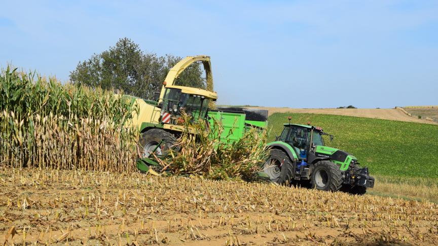 Partout en Wallonie et vu les fortes progressions encore enregistrées la semaine passée,  le risque de récolter certaines parcelles à surmaturité est important  dans bien des fermes, alerte le Centre pilote maïs.