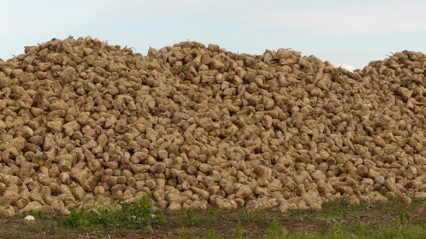 La CGB s’oppose à la proposition de révision de la réglementation sur les produits  phytosanitaires faite par la commission prévoyant des réductions « drastiques »  de 50 % d’ici 2030, et ce « sans étude d’impact pour l’agriculture et l’économie ».