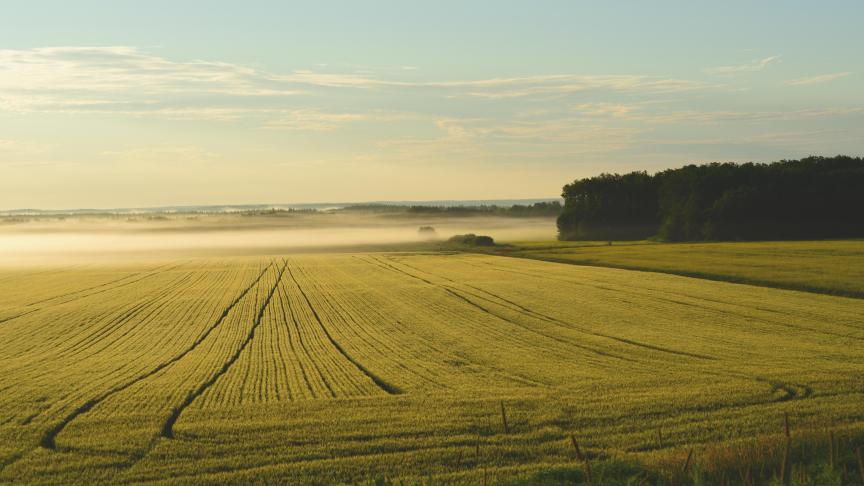 L’agriculture bas-carbone pourrait inciter à l’achat de terres pour mettre en œuvre des pratiques d’agriculture carbone  et bénéficier des revenus des crédits carbone, faisant ainsi grimper les prix des terres agricoles...