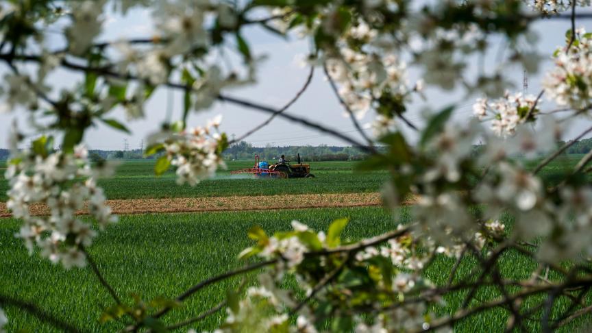 Le comité européen des Régions plaidepour la création d’un fonds national pour la lutte contre les ravageurs, qui serait financé par une taxation des pesticides basée sur le risque, par les contributions des détaillants ou par des amendes.