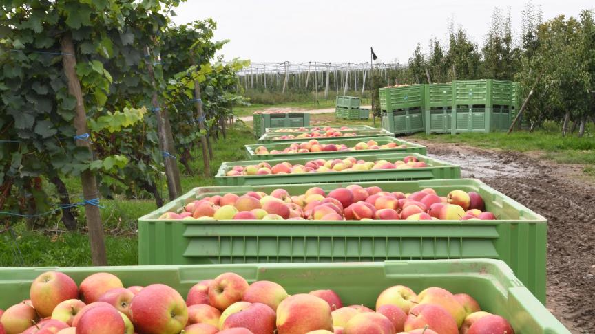 La Belgique a réclamé à de nombreuses reprises une aide  pour ses producteurs de pommes et de poires.
