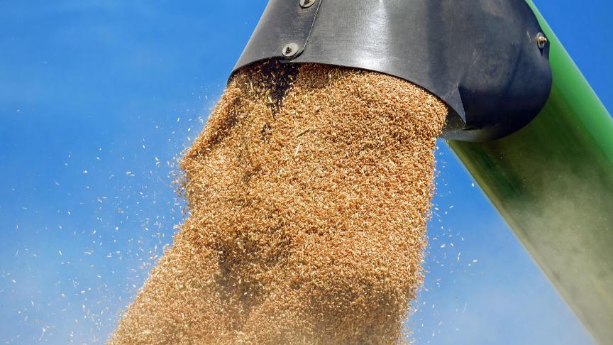 La commission a annoncé une récolte de 271 millions de tonnes de céréales pour 2023, soit 2,4% de plus qu’en 2022 qui était toutefois la plus faible des dix dernières années.