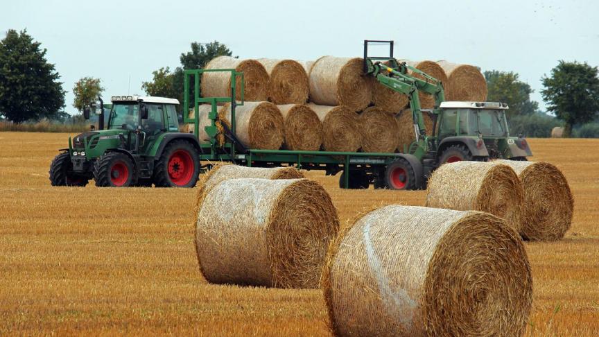 La reprise des exportations de l’UE pour certains produits agricoles a été soutenue par  des prix plus compétitifs des matières premières.
