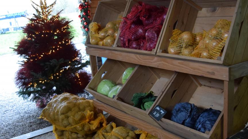 Une journéer pour mettre en lumière l'importance de la pomme de terre pour l'agriculture mondiale, le développement économique la sécurité alimentaire et la nutrition.