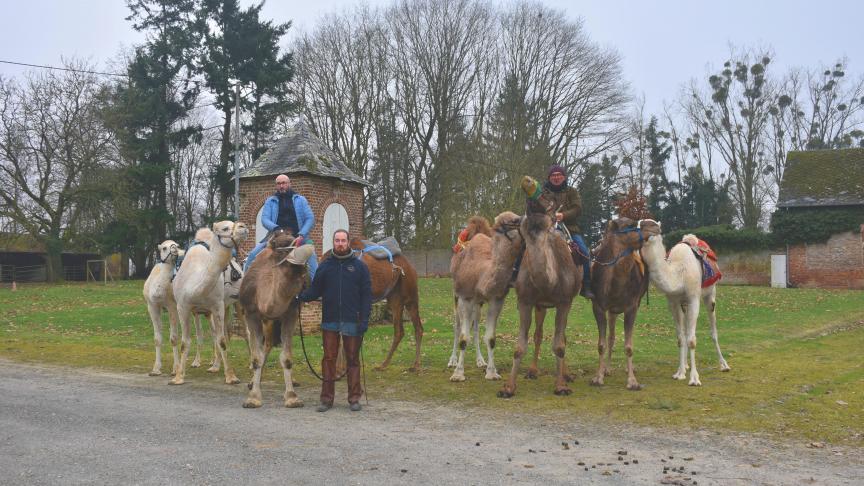 Geoffrey Laumonier et Jonathan Chacon (à gauche) hébergent leur troupeau au chez Olivier Philipponneau (à droite), fondateur de «Dromadaires de Picardie» à Thenailles.