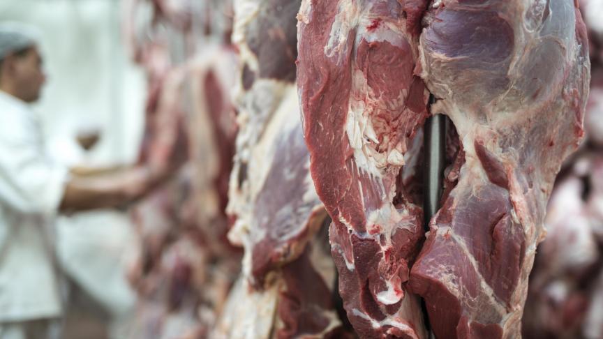 Le marché de la viande en Europe connaît des changements variés, avec des  différences importantes dans les prix et la quantité produite selon les pays.