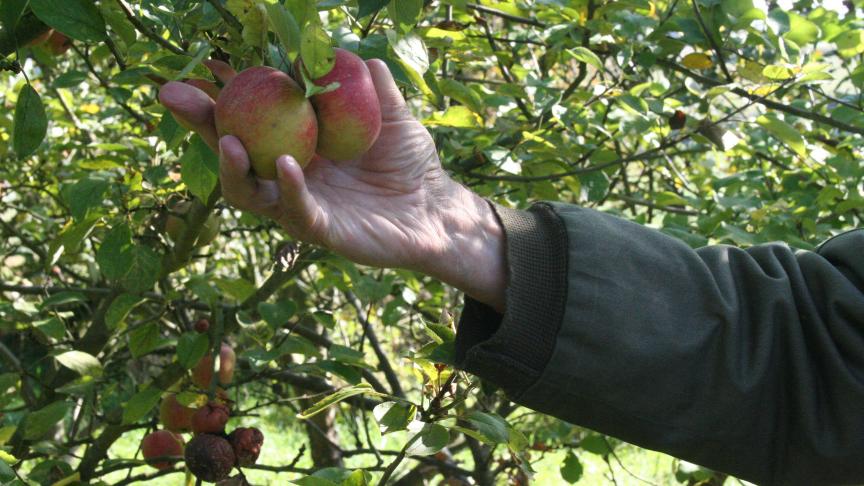 Les jardiniers cultivant des fruitiers ou souhaitant se lancer dans l’implantation de vergers sont les bienvenus à ces rencontres.