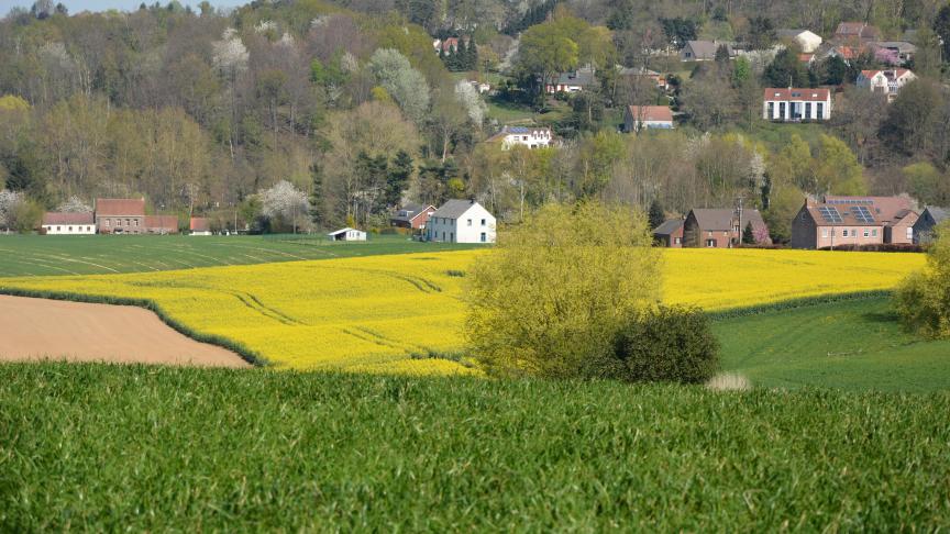 Le travail devra se poursuivre dans le courant de la prochaine législature, en concertation avec les différents acteurs concernés.