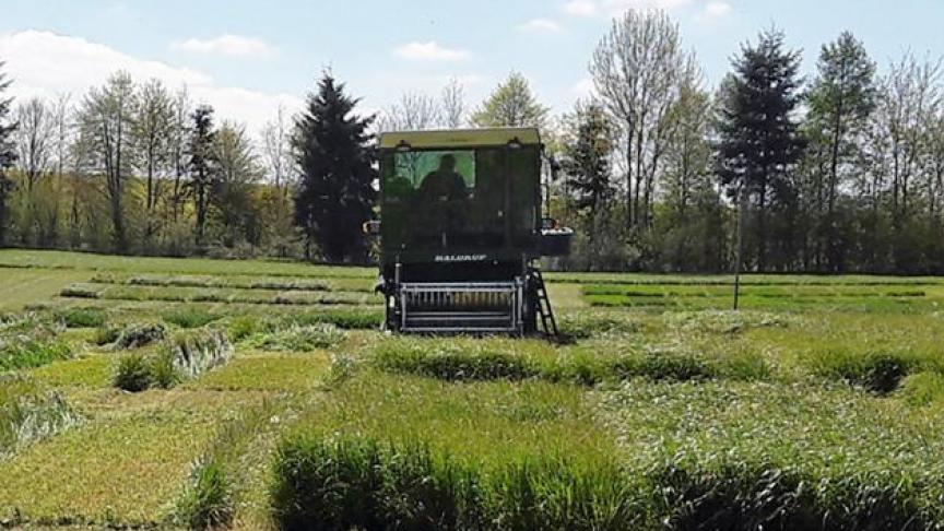 La vue d’une récolte à l’Haldrup de parcelles de ray-grass italiens testés en régime de fauche sur le site de Michamps entre 2016 et 2018.