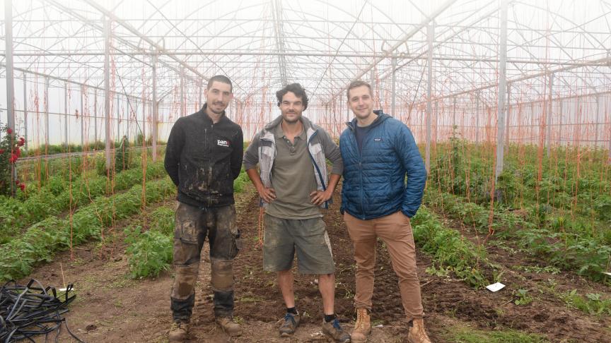 Trois des cinq dirigeants de la coopérative Grow au coeur de leurs serres. De gauche à droite : Mathieu Flemal, Clément Dauvin et Jérôme Hautier.
