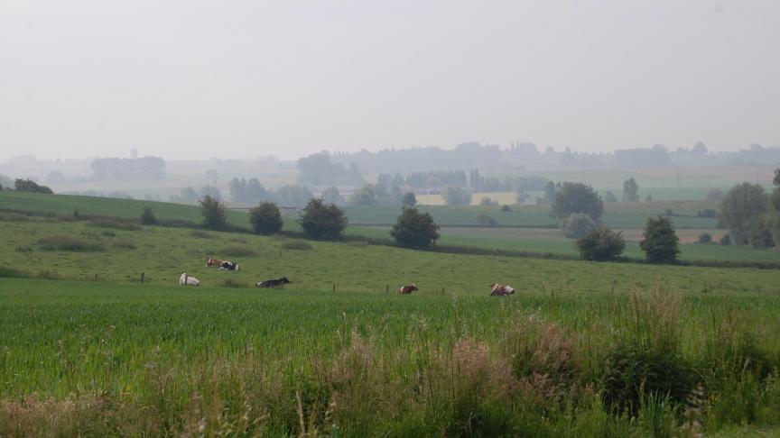 DSC_1069
