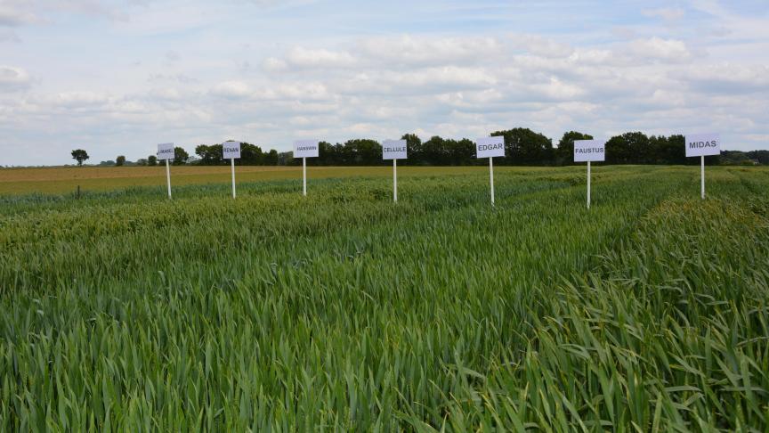 Il sera notamment  possible  de visiter des essais  en céréales  biologiques.