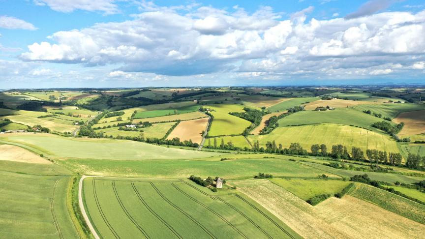 La France compte près de 26,7 millions d’hectares de terres et de prairies  dont moins de 2 % font l’objet  de transactions agricoles.