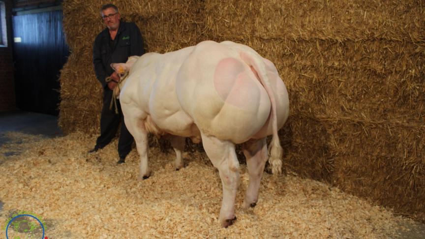 Goujon des 3 Frontières a été adjugé pour 6.200€.